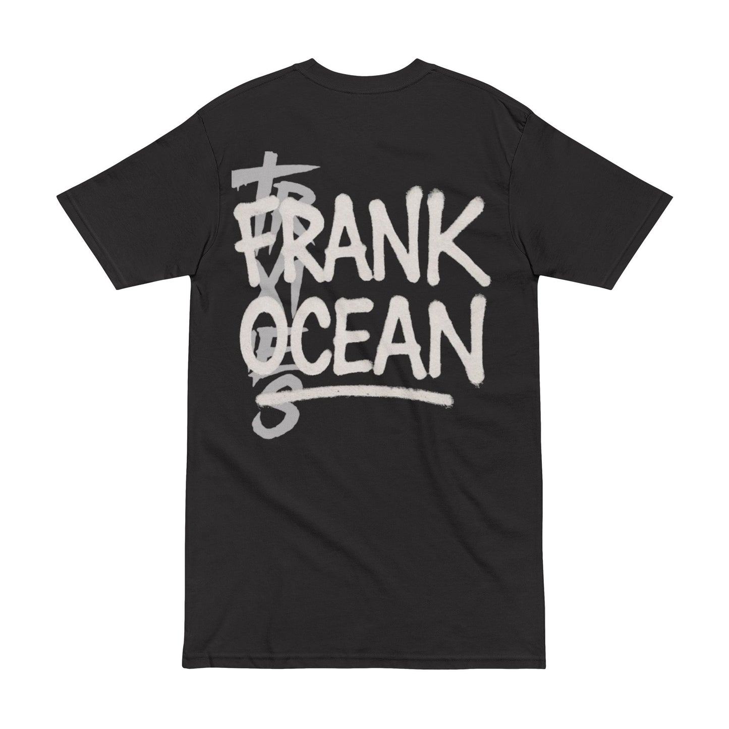 Frank Ocean Inspired Heavyweight Tee, Graphic Tee, Music Lover Shirt, Casual Wear, Gift for Him, Soft Cotton Top