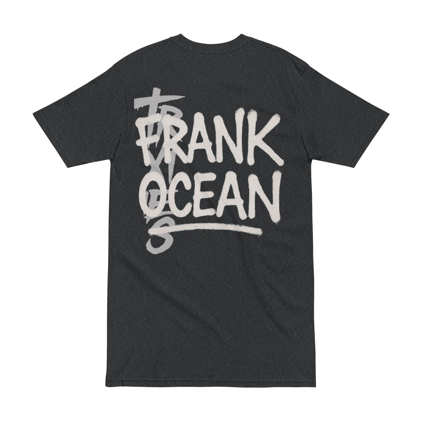 Frank Ocean Inspired Heavyweight Tee, Graphic Tee, Music Lover Shirt, Casual Wear, Gift for Him, Soft Cotton Top